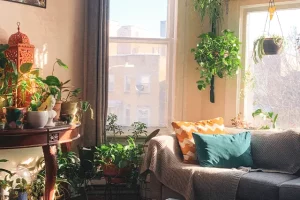 How a Sunroom Addition Can Enhance The Look And Function Of Your Home